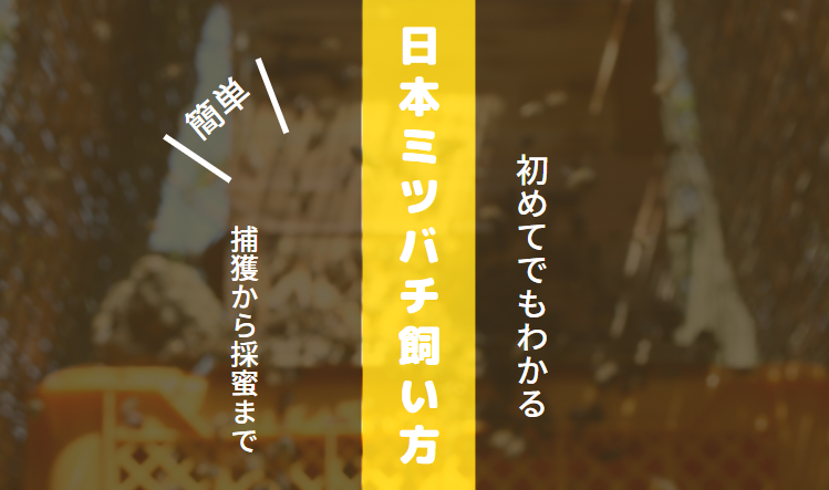 日本ミツバチの巣箱の作り方 初心者でも簡単 重箱式巣箱の作り方とコツを解説 こうキングログ