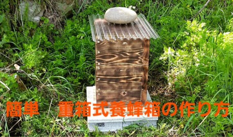 日本ミツバチの巣箱の作り方 初心者でも簡単 重箱式巣箱の作り方とコツを解説 こうキングログ